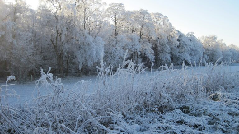 Cambridgeshire prepares for winter 2025-2026